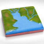 Estuary Model